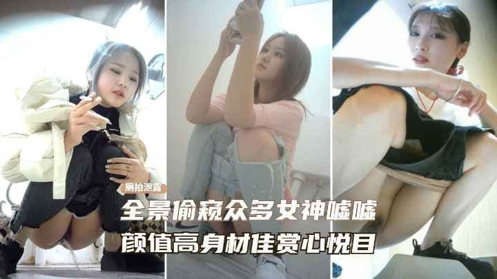 高端窥视商场女卫生间全景偷拍多位小姐姐嘘嘘绝佳身材人美逼靓